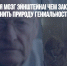 Разыскивается мозг Эйнштейна! Чем закончилась попытка выяснить природу гениальности - Газета Новые Известия