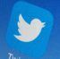 Twitter ввел платную подписку с синей галочкой верификации - Вести-Москва