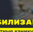 Российские банки рассматривают риски мошенничества с кредитными каникулами по СВО - GlobalMSK.Ru