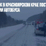 Девять человек в Красноярском крае пострадали при опрокидывании автобуса - Газета Новые Известия