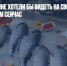 Многие россияне хотели бы видеть на своем столе рыбу чаще, чем сейчас - Газета Новые Известия