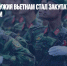Все больше оружия Вьетнам стал закупать в Восточной Европе и Индии - Газета Новые Известия