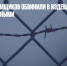 В Японии тюремщиков обвинили в издевательствах над заключенными - Газета Новые Известия