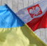 Политолог рассказал, какую выгоду хочет получить Польша от Украины - MosRegToday.Ru