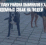 В Забайкалье главу района обвинили в халатности за нападения бездомных собак на людей - Газета Новые Известия