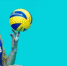 worldofvolley.com - Вести-Москва