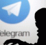 Пушков объяснил, почему Telegram не блокируют - Вести-Москва