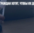 Большинство граждан хотят, чтобы их дети стали блогерами - Газета Новые Известия