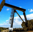 Новак спрогнозировал стоимость нефти в диапазоне 70-100 долларов - GlobalMSK.Ru