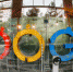Google запустил сайт для "слежки" за Санта-Клаусом - Вести-Москва