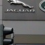 Jaguar Land Rover прекратила обслуживать автомобили в России - Вести-Москва