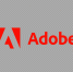 Оштрафуют ли вас за использование Adobe — мнение эксперта - MosRegToday.Ru