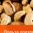 "Своего рода природный статин". Доктор Мясников – о пользе орехов - Вести-Москва