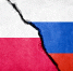 В Польше возмутились импортом нефти из России в течение года - РТВ-Подмосковье
