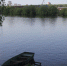 В Подмосковье расчистили 14 водоемов - Вести Подмосковья