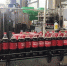 Крупный нелегальный цех по производству Coca-Cola накрыли в Балашихе - Вести Подмосковья