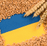 Украина решила создать зерновой хаб в Африке - РТВ-Подмосковье