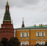 Прямую линию и пресс-конференцию Путина в этом году объединят - Вести Подмосковья