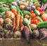 Политолог Оленченко назвал сельхозпродукцию США инфицированной химикатами - РТВ-Подмосковье