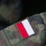 ВС Польши сообщили о внезапной смерти бригадного генерала Марчака - РТВ-Подмосковье