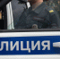В подмосковной деревне неизвестные измучили и убили собаку - Вести Подмосковья