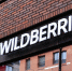 Маркетплейс Wildberries запустил сервис по экспресс-доставке товаров - Вести Подмосковья