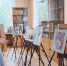 В Подмосковье открылась фотовыставка «Разные кошки. Разные судьбы» - РТВ-Подмосковье