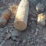 В поле под Рузой нашли восемь боеприпасов - РТВ-Подмосковье