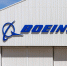 Reuters: Boeing признал вину в мошенничестве по делу о крушении двух самолётов - РТВ-Подмосковье