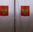 Допвыборы в Совет депутатов Пушкинского горокруга состоятся более чем на 50 участках - Вести Подмосковья