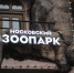 В Московском зоопарке у кустарниковой собаки появился щенок - Вести Подмосковья