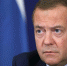 Медведев: Дуров для врагов России опасный, потому что русский - Regions.Ru