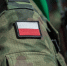 Польша находится в состоянии гибридной войны, заявили в Минобороны страны - РТВ-Подмосковье