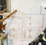 Спасатели вызволили лису из западни в шлюзе Иваньковского водохранилища - РТВ-Подмосковье