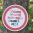 "ДЕРЕВЬЯ ПЛАЧУТ". КАК ВЫРУБАЮТ САБУРОВСКИЙ ЛЕС - Экооборона Московской области