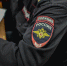 Полиция проверяет информацию о нападении квадроберши на школьницу в подмосковных Мытищах - Вести Подмосковья