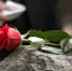 SHOT: умерла актриса Ильина, сыгравшая бабушку Ералаша в «Слове пацана» - MosRegToday.Ru