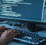 Названы IT-профессии с самой высокой зарплатой - РТВ-Подмосковье
