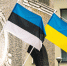 Глава МИД Эстонии Цахкна: В Киеве дрон попал в дом посла Эстонии на Украине - РТВ-Подмосковье