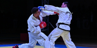 Спортсмены из Подмосковья выиграли пять медалей на чемпионате России по тхэквондо - Regions.Ru
