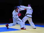 Спортсмены из Подмосковья выиграли пять медалей на чемпионате России по тхэквондо