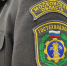 В Подмосковье за неделю провели 883 техосмотра - Regions.Ru