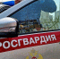 Подмосковные росгвардейцы за неделю более 2,3 тыс. раз выезжали по тревоге - Regions.Ru