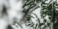 Синоптик назвал дату прихода зимы в Подмосковье - Regions.Ru