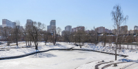 Ночная температура в Подмосковье 23 ноября опустится до -6 - Regions.Ru