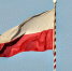 В Польше заявили о победе России в конфликте на Украине - MosRegToday.Ru