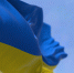 Украинский флаг висит у входа по адресу стартапа правнучки Чкалова - РТВ-Подмосковье