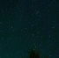 unsplash.com - MosRegToday.Ru