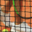 WTA заставила украинскую теннисистку Олейникову сменить форму из-за рекламы в поддержку ВСУ - MosRegToday.Ru