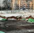 Реконструкцию спортивной школы олимпийского резерва проведут в Клину - MosRegToday.Ru